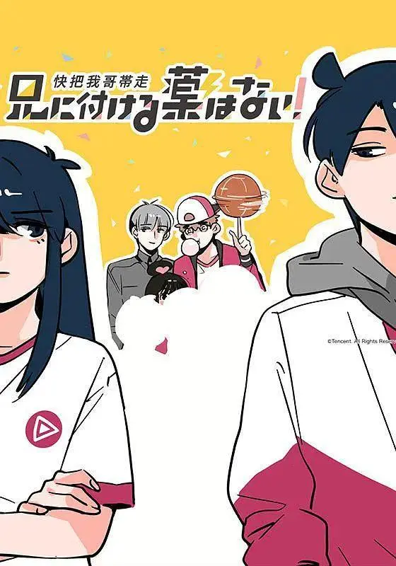 《快把我哥带走第一季》全集高清完整版在线观看与剧情解析