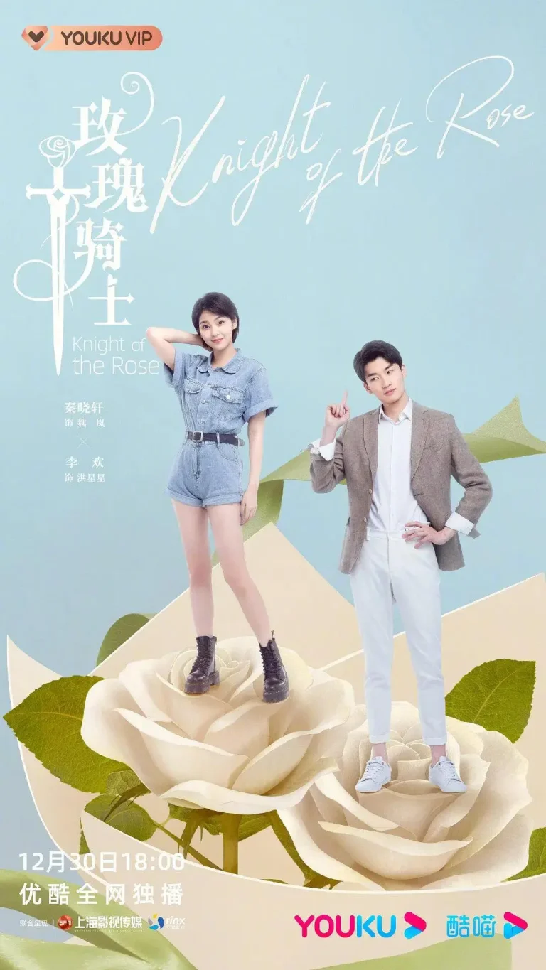 《玫瑰骑士》全集高清完整版在线观看与剧情解析